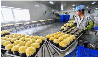 訪企業(yè)、解難題、促“六穩(wěn)”——尤溪 深入項目一線為企精準把脈，力促商貿(mào)繁榮發(fā)展